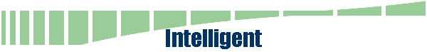  Intelligent 